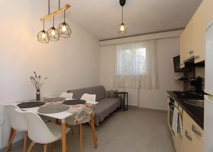 Apartment 46 Šilo